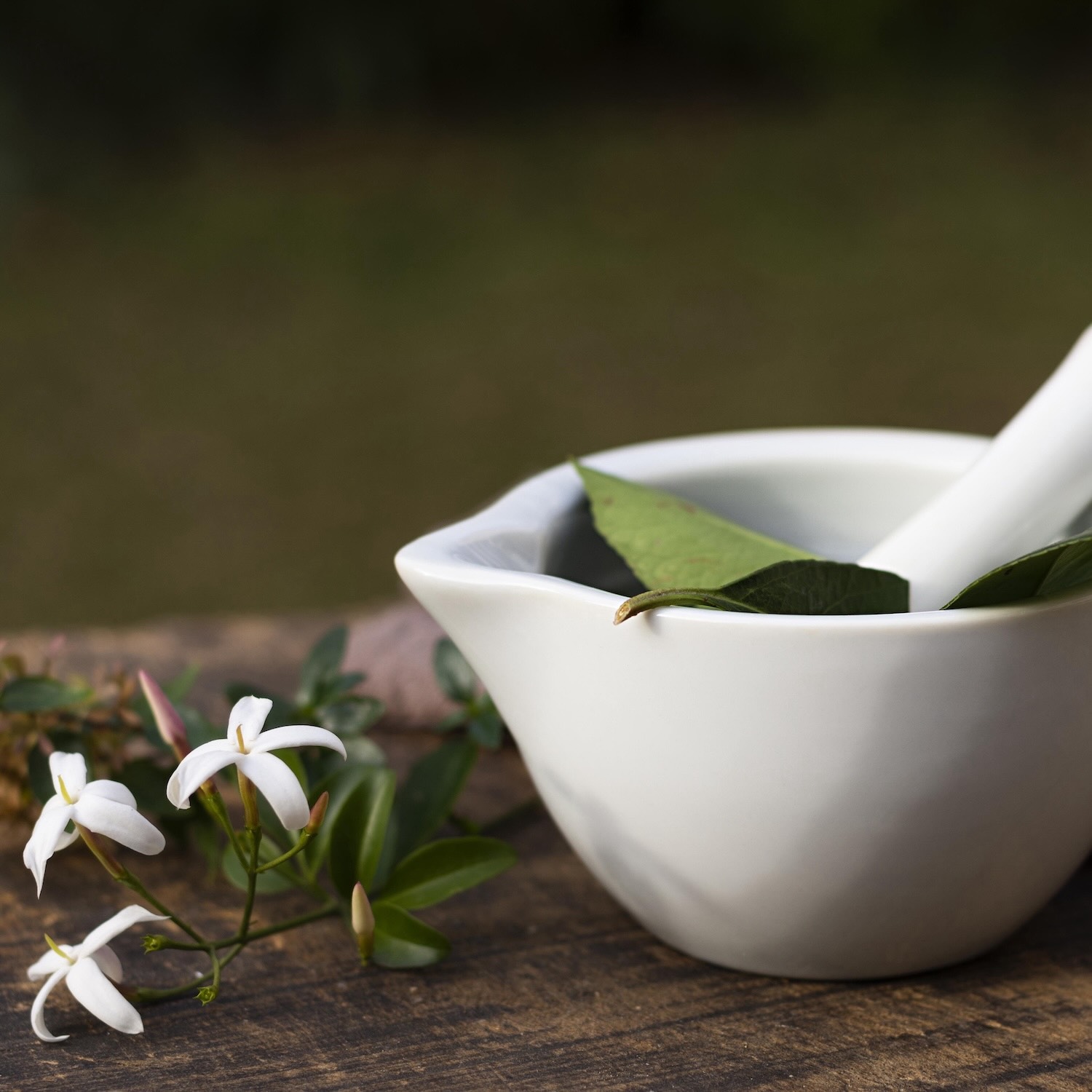 Phytothérapie, Pharmacie Pavageau à Bouin